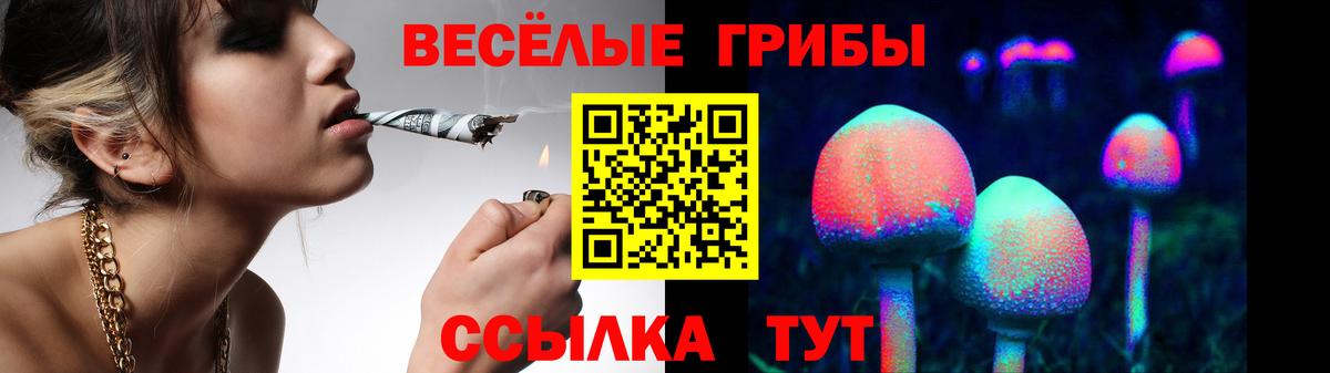 Лесной  Галлюциногенные грибы Psilocybe  Вход с VPN 